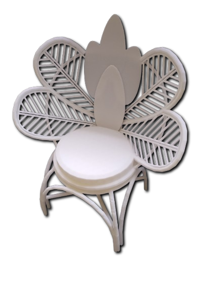 IMG_20250712_142613-removebg-preview